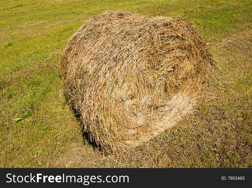 Rural scene, haystacks in the field