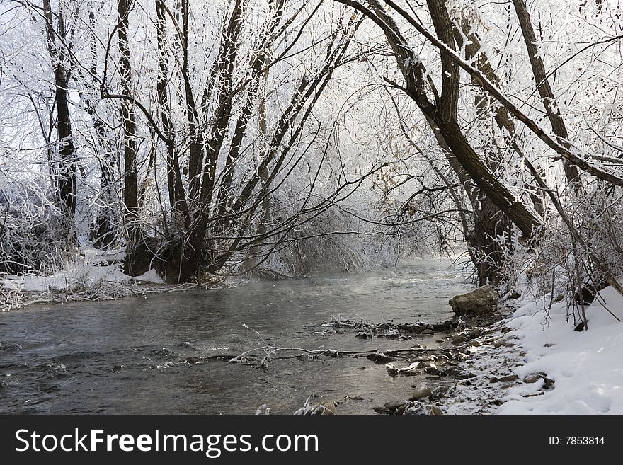 Steam rises off a frosty, picturesque river bank covered in snow. Steam rises off a frosty, picturesque river bank covered in snow