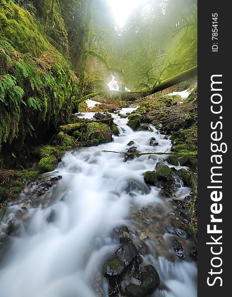 A beautiful mountain stream in early morning of a foggy day. A beautiful mountain stream in early morning of a foggy day