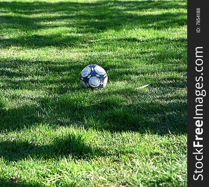 Blue ball in green grass background. Blue ball in green grass background