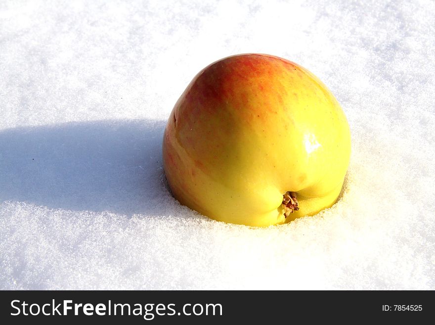 Yellow apple lays on snow background. Yellow apple lays on snow background.