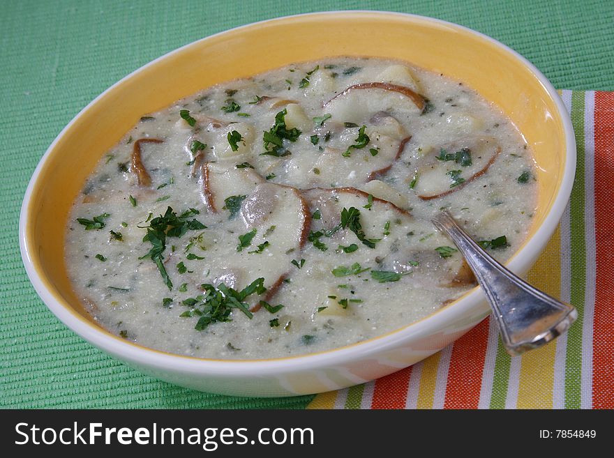 Mushroom cream soup on plate