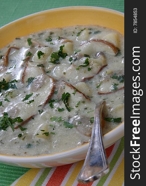 Mushroom cream soup on plate