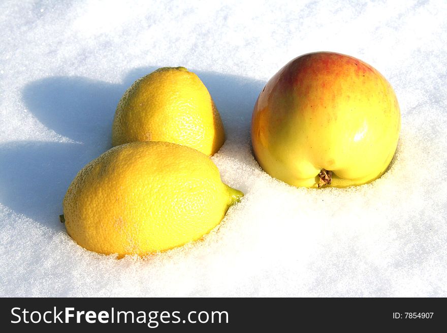 Fruits lays on snow background.