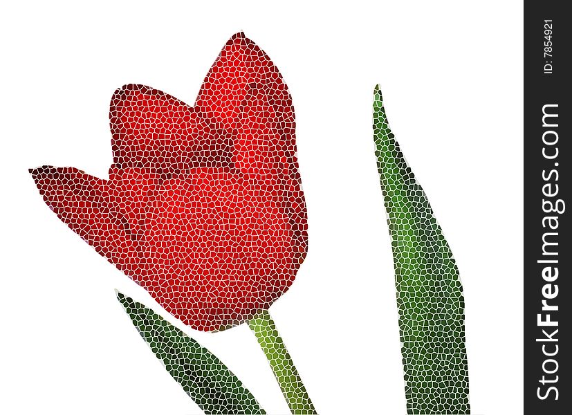 Red Tulip