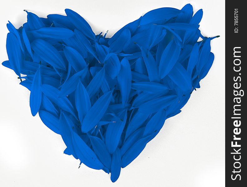 Love symbol from blue petals