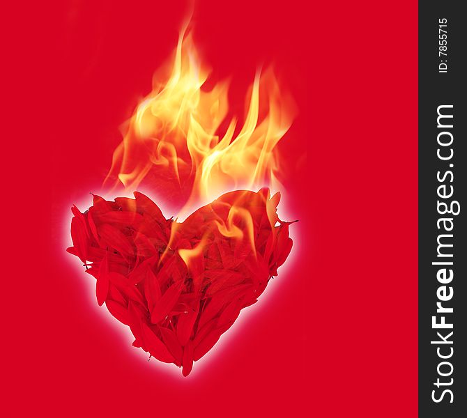 Heart shape from petals with fire on red background. Heart shape from petals with fire on red background