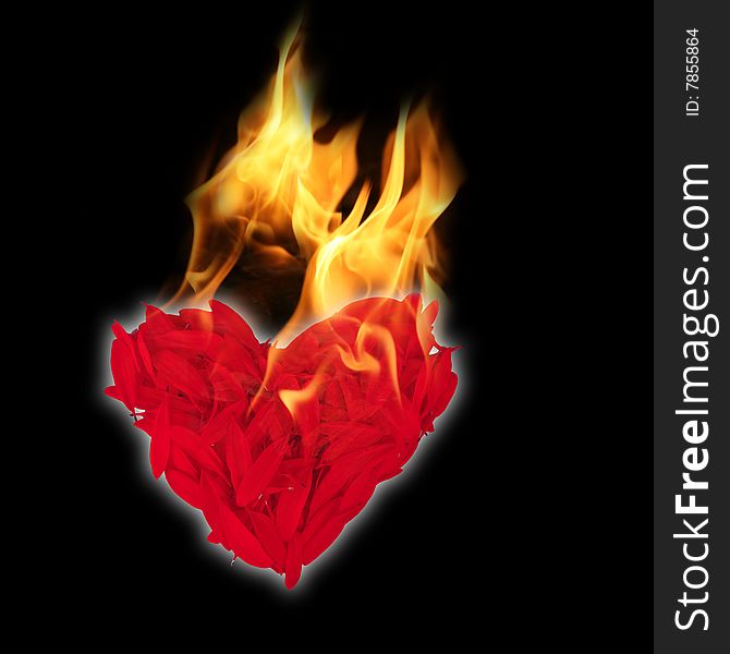 Heart shape from petals with fire on black background. Heart shape from petals with fire on black background