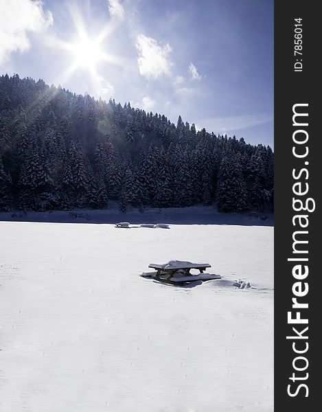 Spruce forest covered by snow. Spruce forest covered by snow