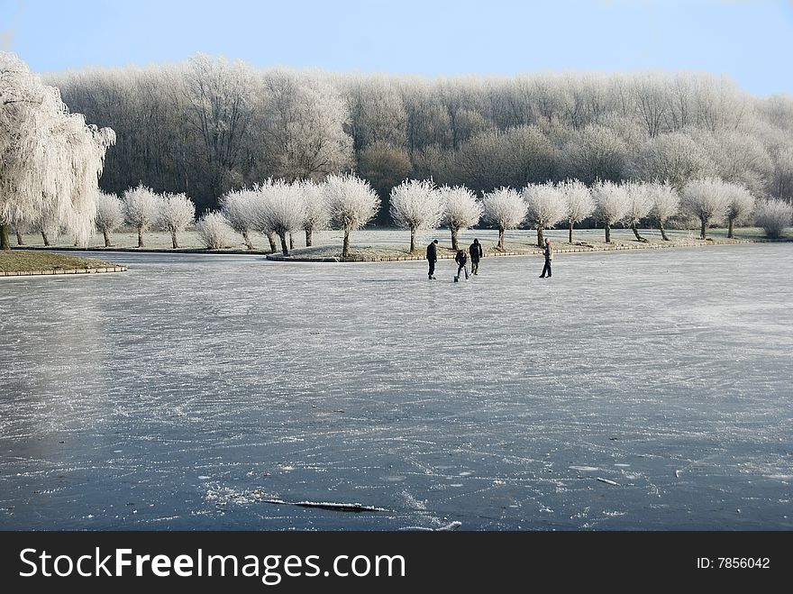 Winter Landscape