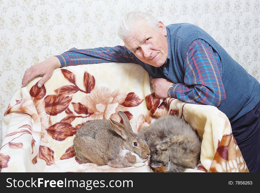 Elderly man near cat and rabbit. Elderly man near cat and rabbit