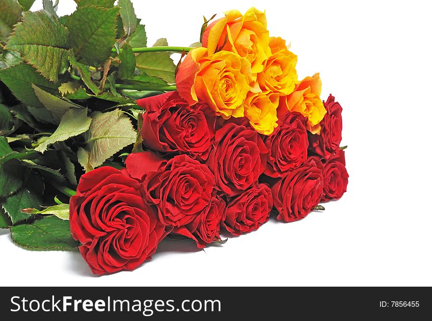 Luxury bouquet roses on isolated background