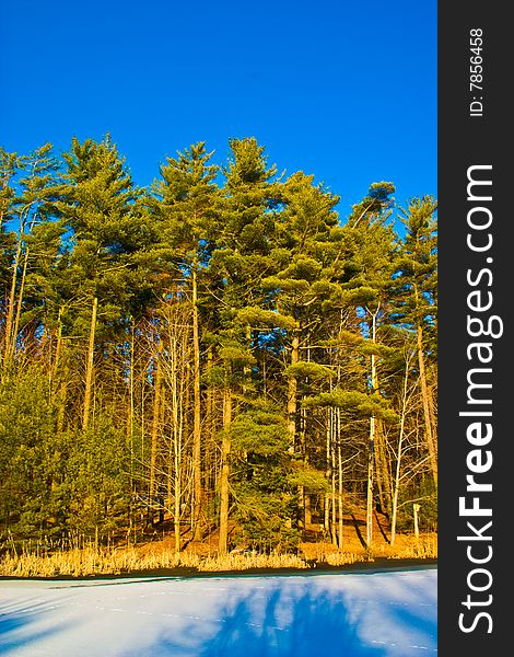 Winter landscape. forest and snow at the edge of the forest