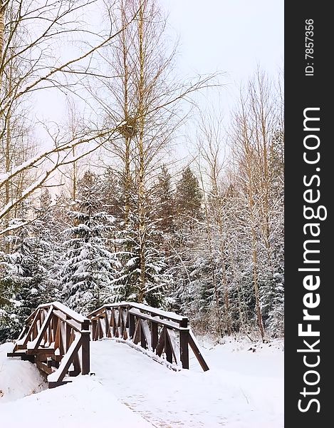 Foot-bridge near winter forest. Foot-bridge near winter forest