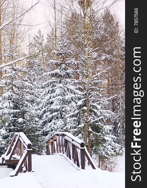 Foot-bridge on winter background