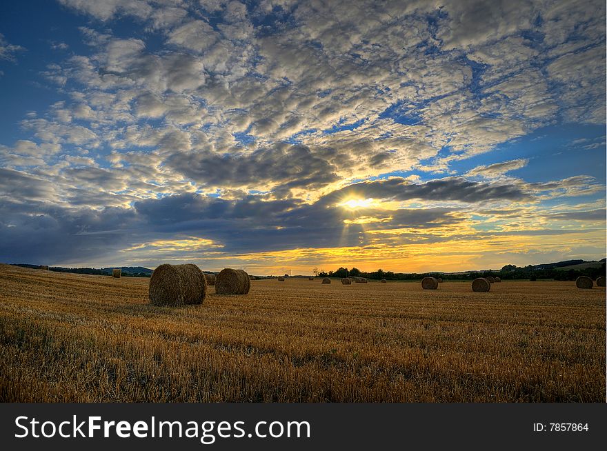 Hay bales in a field in french. Hay bales in a field in french