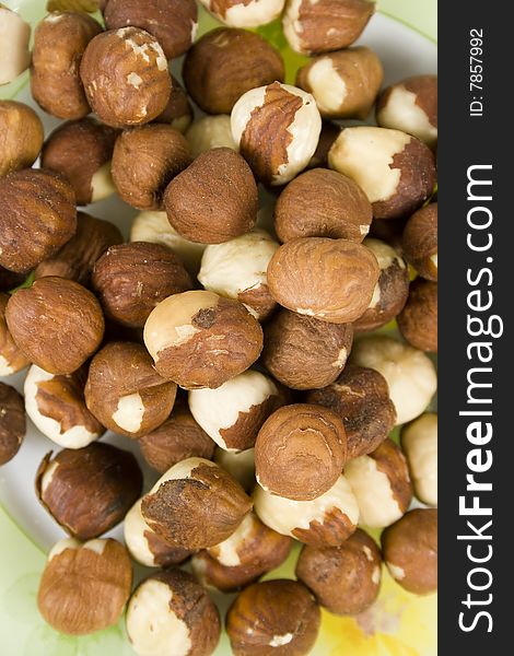 Filbert (hazelnut) on saucer in brown pod without nutshell