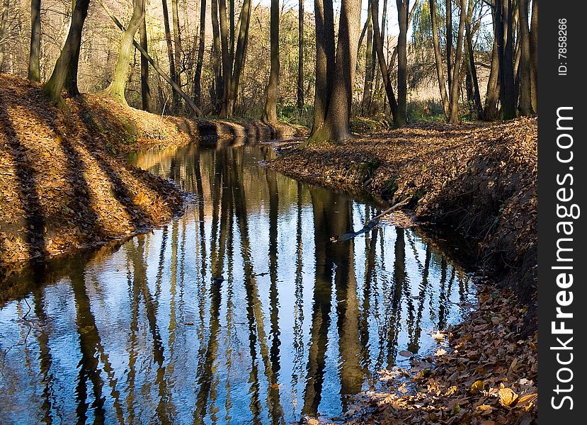 Reflections in autumn park brook in Kiev city, Ukraine