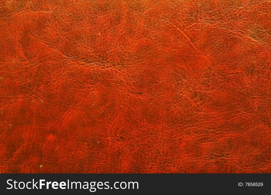 Red leather textured background from skin of cow. Red leather textured background from skin of cow