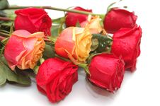 Bouquet Of Red And Yellow Roses Stock Image Bouquet Of Red And Yellow Roses Stock Image