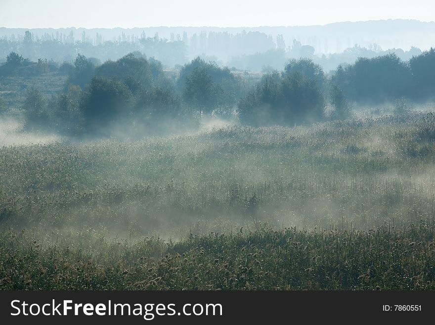 Morning fog on a marge of a wood