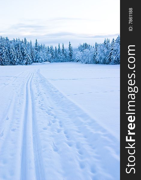 Empty skiing tracks across a snowy field in Norway. Empty skiing tracks across a snowy field in Norway