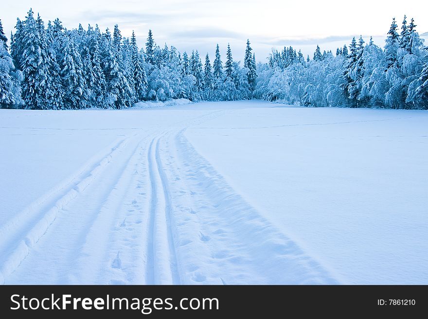 Empty skiing tracks across a snowy field in Norway. Empty skiing tracks across a snowy field in Norway