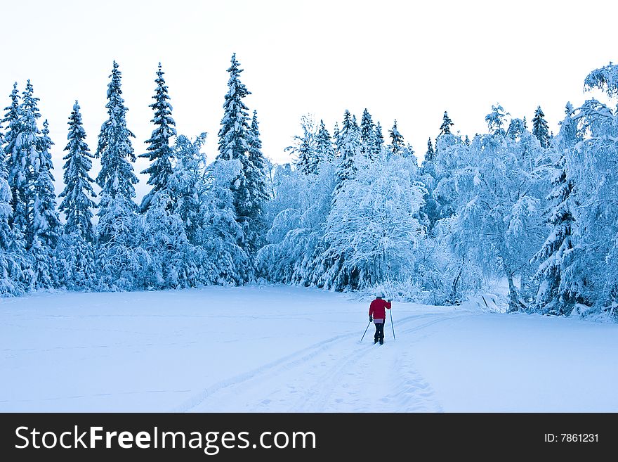 A lone skier in a snow-covered landscape, Norway. A lone skier in a snow-covered landscape, Norway