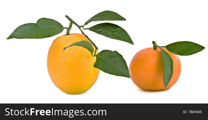 Tangerine and orange isolated on white background