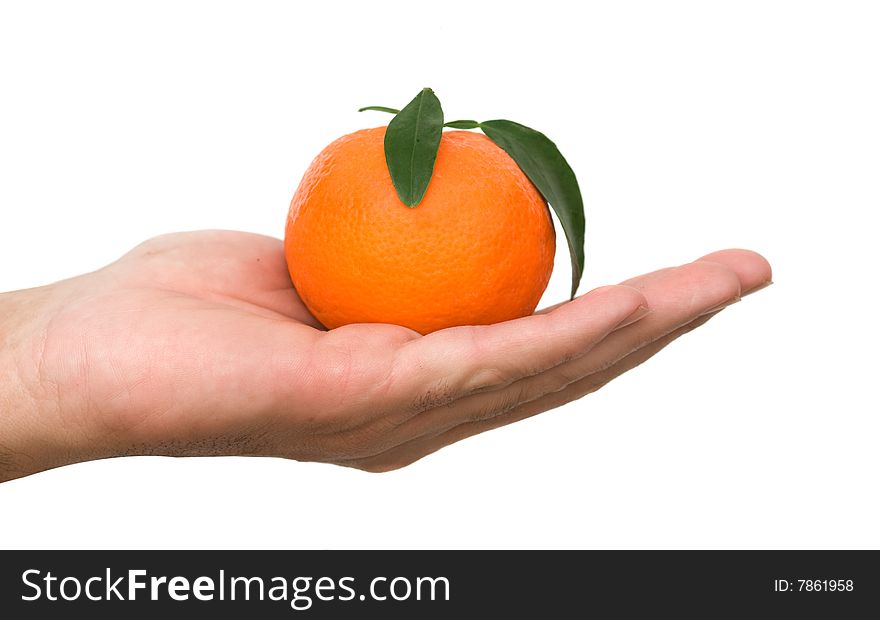 Close up of hand holding ripe tangerine. Close up of hand holding ripe tangerine
