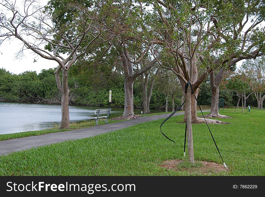 Florida Park with lake, trees, bench and birds flying. Florida Park with lake, trees, bench and birds flying.