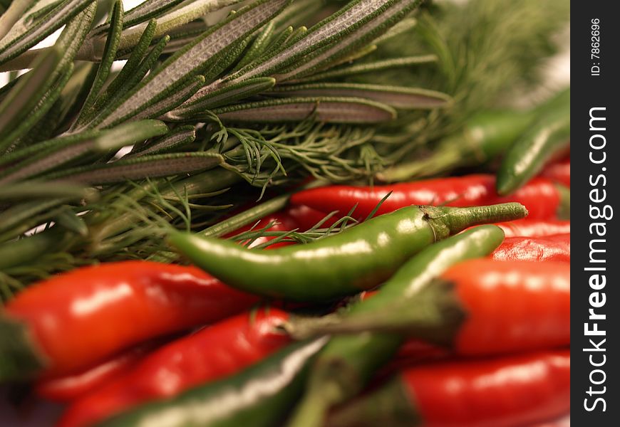 Rosemary, Dill, Bird Eye Chillies and Finger Chillies. Rosemary, Dill, Bird Eye Chillies and Finger Chillies