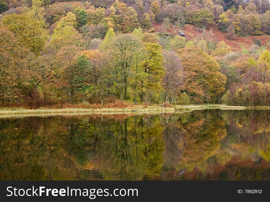 Autumn colours in the Lake District reflected in a Tarn.