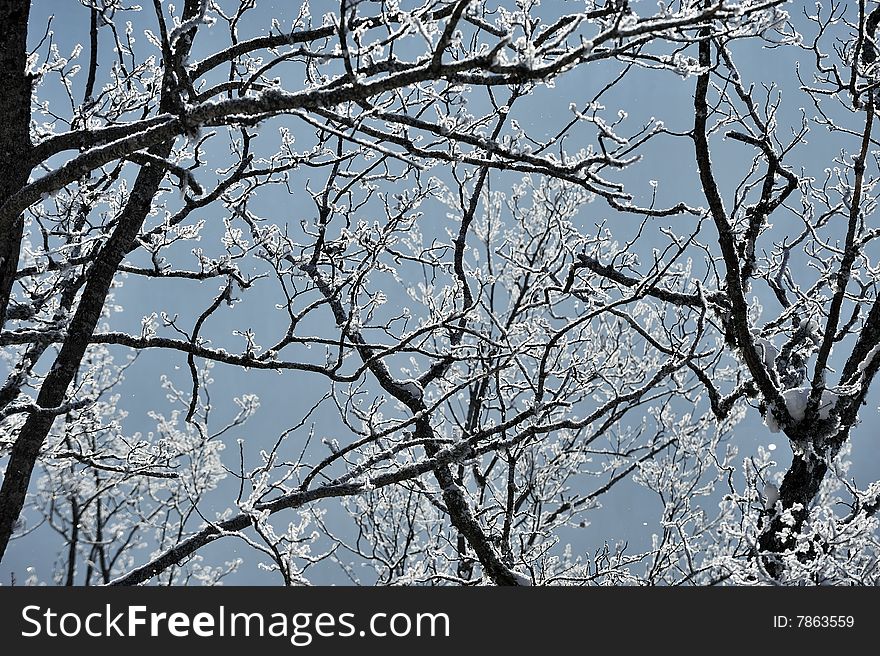 Snow detail at the north