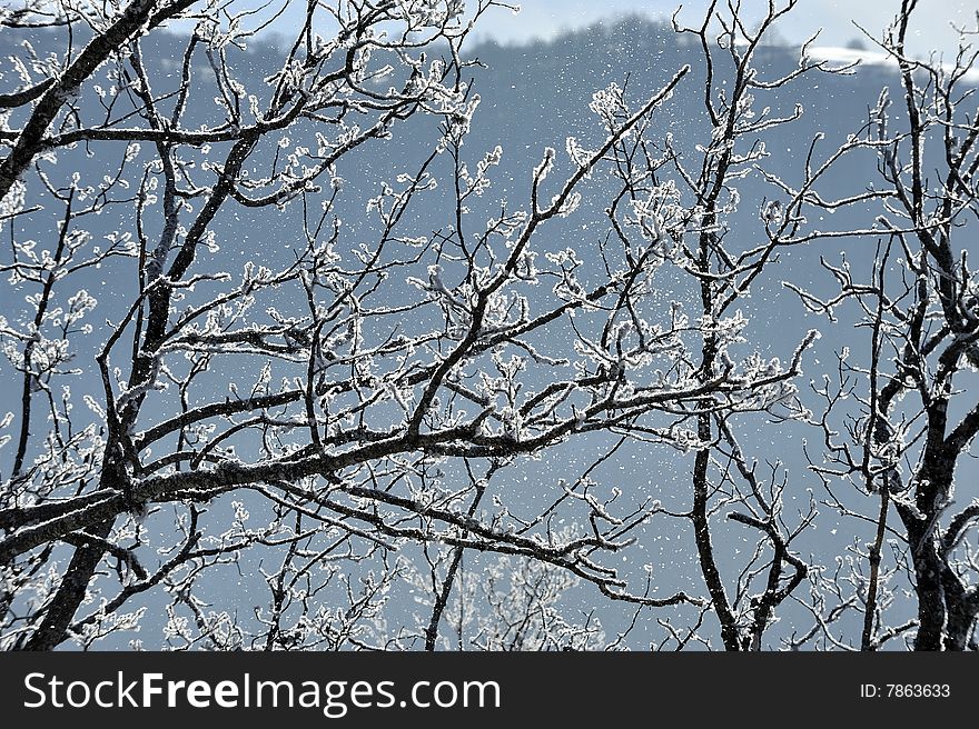 Snow detail at the north