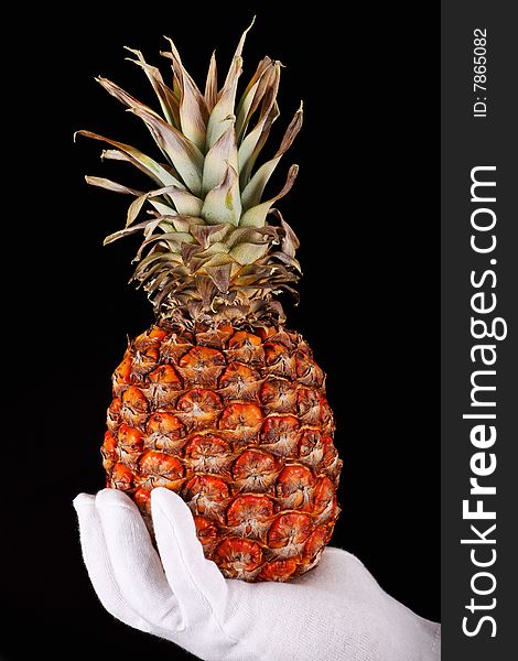 A hand with white glove holding a precious pineapple (concepts). A hand with white glove holding a precious pineapple (concepts)