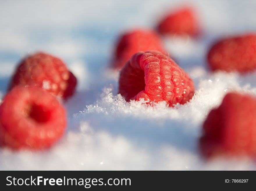 Tasty, fresh raspberries in the snow