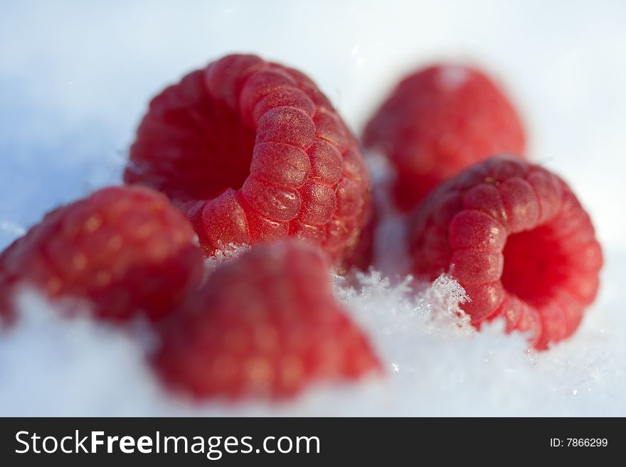 Raspberries in the snow