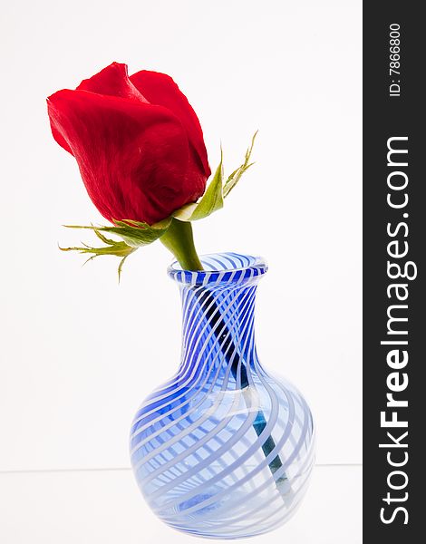 Small blue vase and a red rose on a white background. Small blue vase and a red rose on a white background