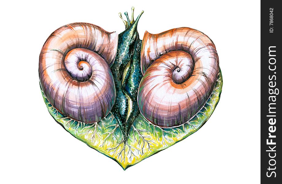 Heart with two snails in love watercolor painted.Picture I have created myself.