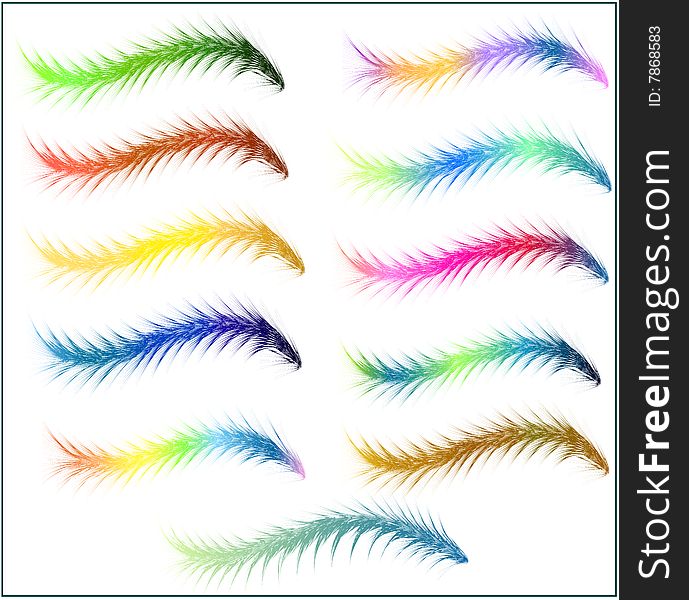 Many species of colorful fur. Vectors illustration