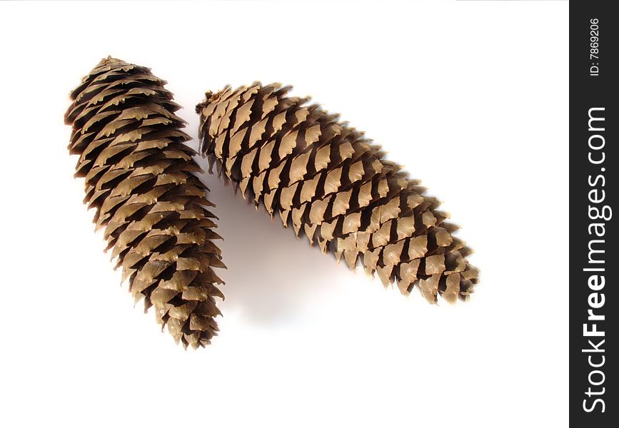 Pine cones isolated on white