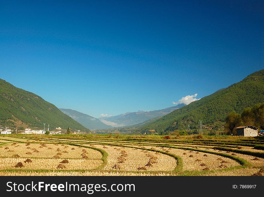 Circular field near lijiang alongside yangtse