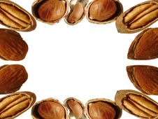 Walnut Royalty Free Stock Photos Walnut Royalty Free Stock Photos