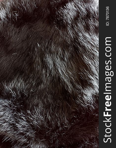 Fur texture close up used for background or texture