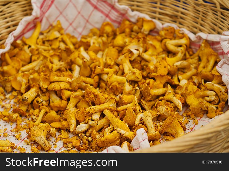 A basket of chanterelle mushroom in a market