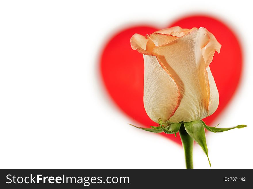 Valentines composition - red rose and heart isolated on white. Valentines composition - red rose and heart isolated on white.