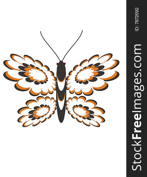Butterfly illustartion on white background.