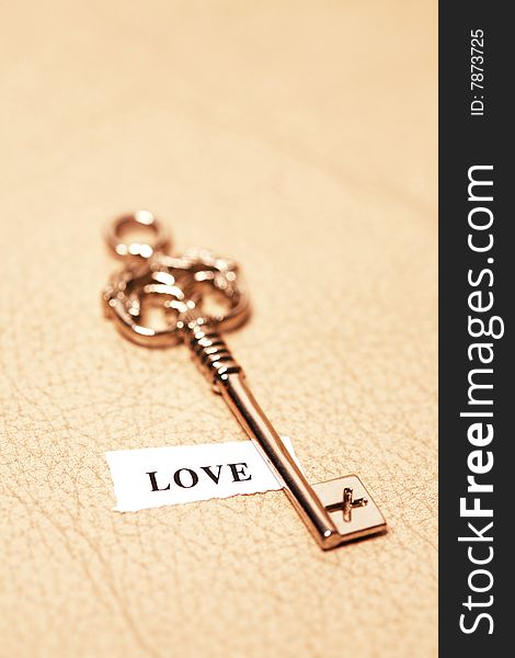 Close up of golden key to love