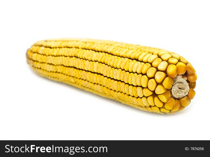 Corn on a white background. Corn on a white background